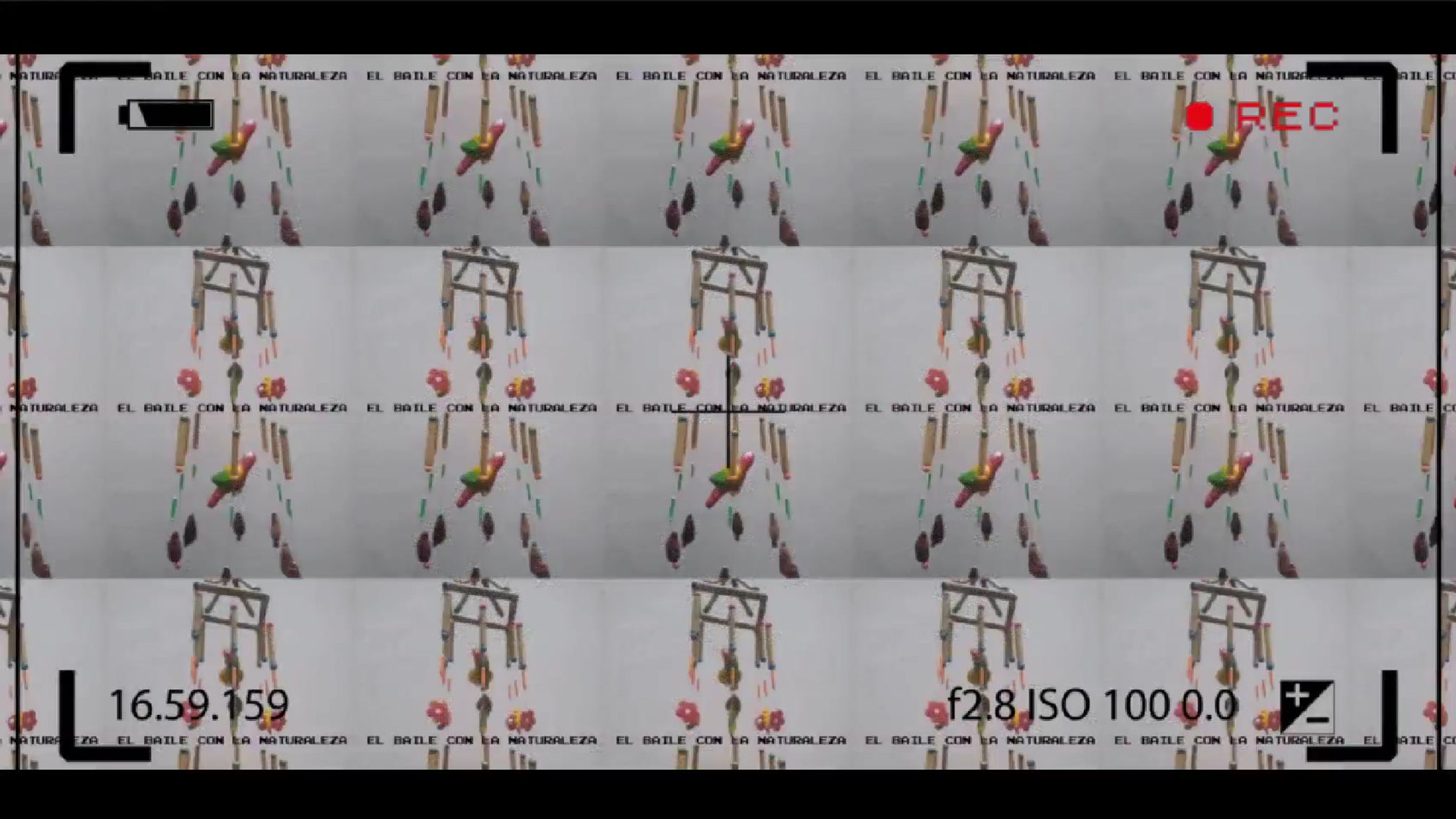 EL BAILE CON LA NATURALEZA.VID